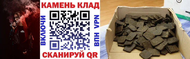 ГАШ Изолятор  Архангельск 