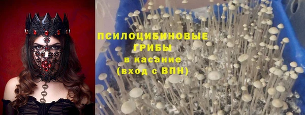 прущая мука Алексин