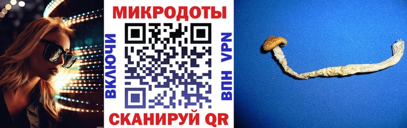 нарко площадка как зайти  MEGA вход  Архангельск  купить   Галлюциногенные грибы MAGIC MUSHROOMS 