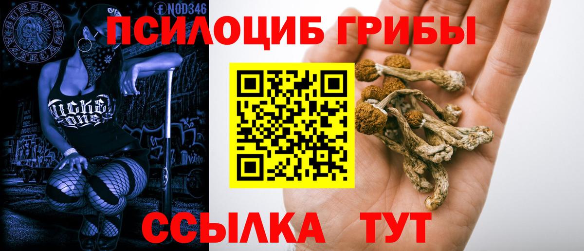 хочу   Вход с VPN  Архангельск  Галлюциногенные грибы GOLDEN TEACHER 